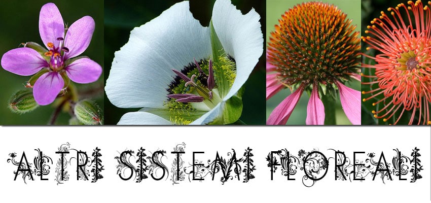 altri sistemi floreali
