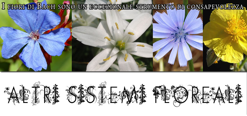 altri sistemi floreali
