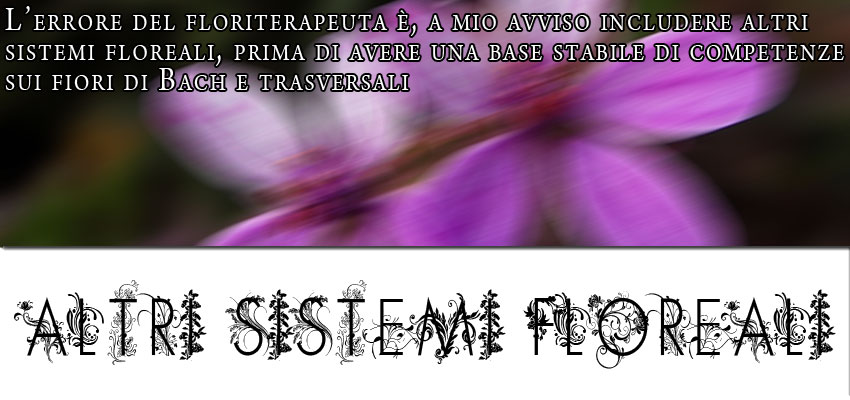 altri sistemi floreali