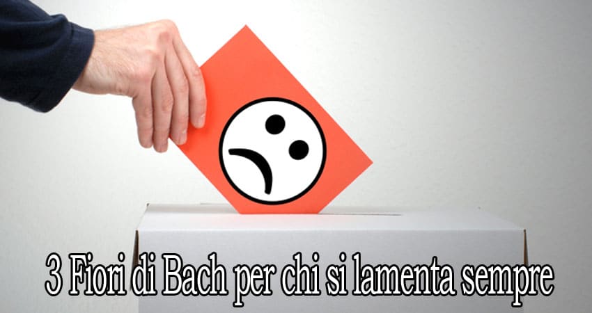 3 fiori di Bach per chi si lamenta sempre