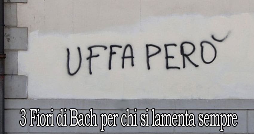 3 fiori di Bach per chi si lamenta sempre