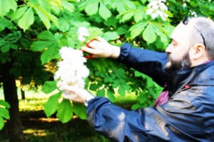 floriterapia transpersonale evolutiva