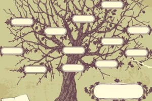 floriterapia transpersonale evolutiva albero genealogico