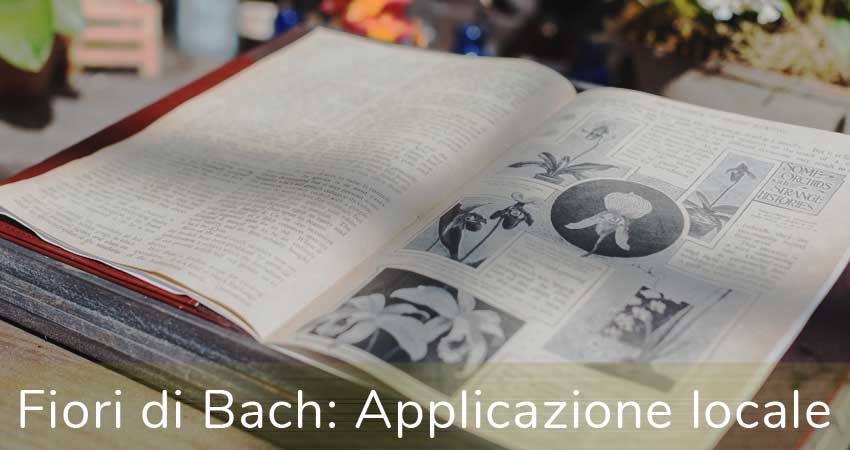 fiori di bach: applicazione Locale