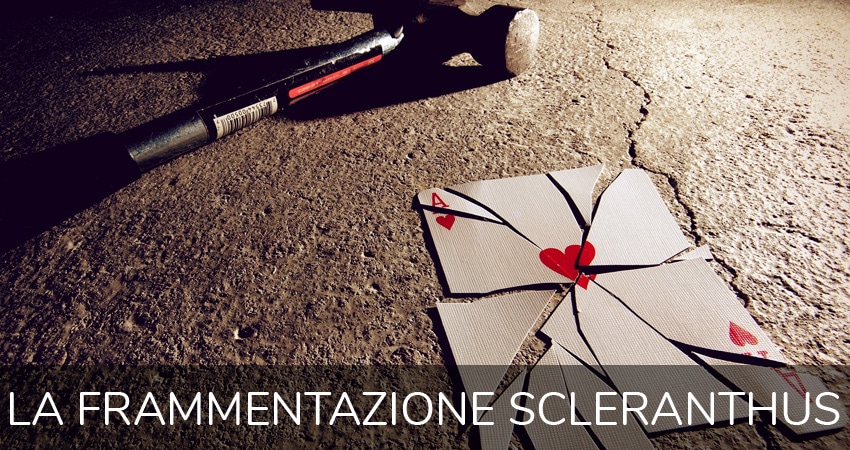 frammentazione Scleranthus