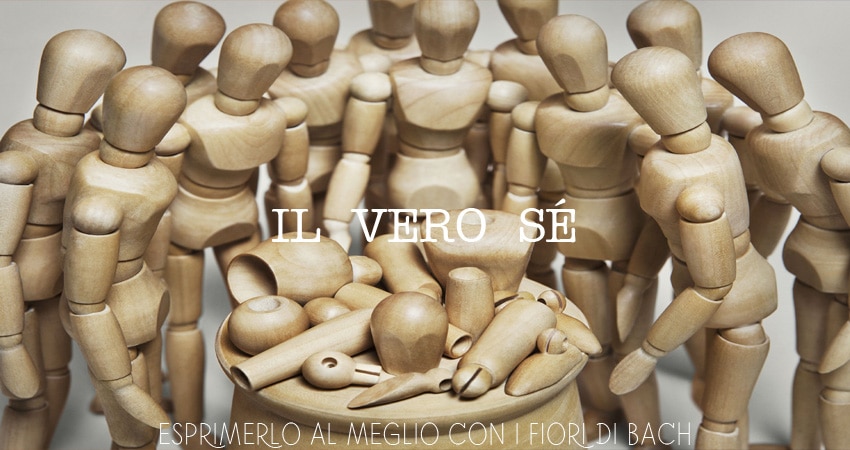 vero sé