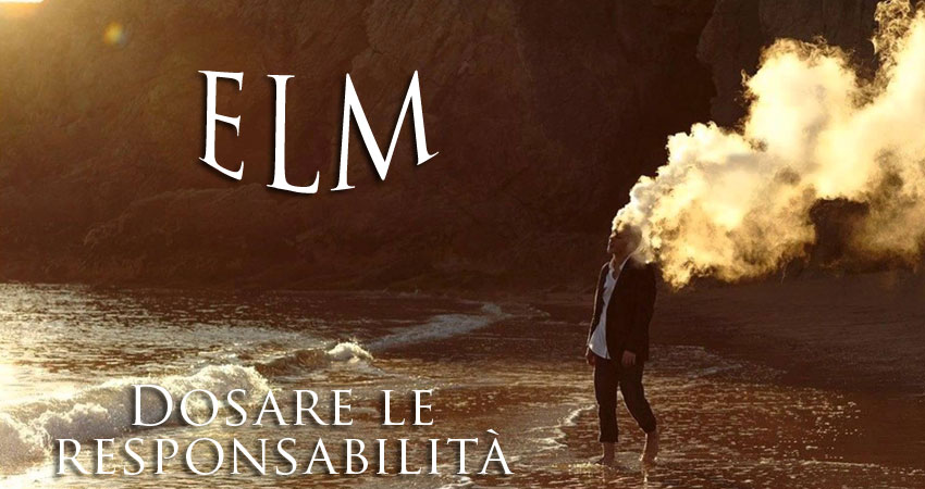 elm fiori di Bach dosare le responsabilità