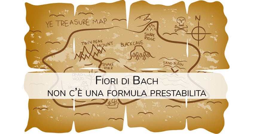fiori di bach formula miscela